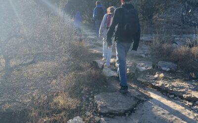 Hiking Lesson- Look Up